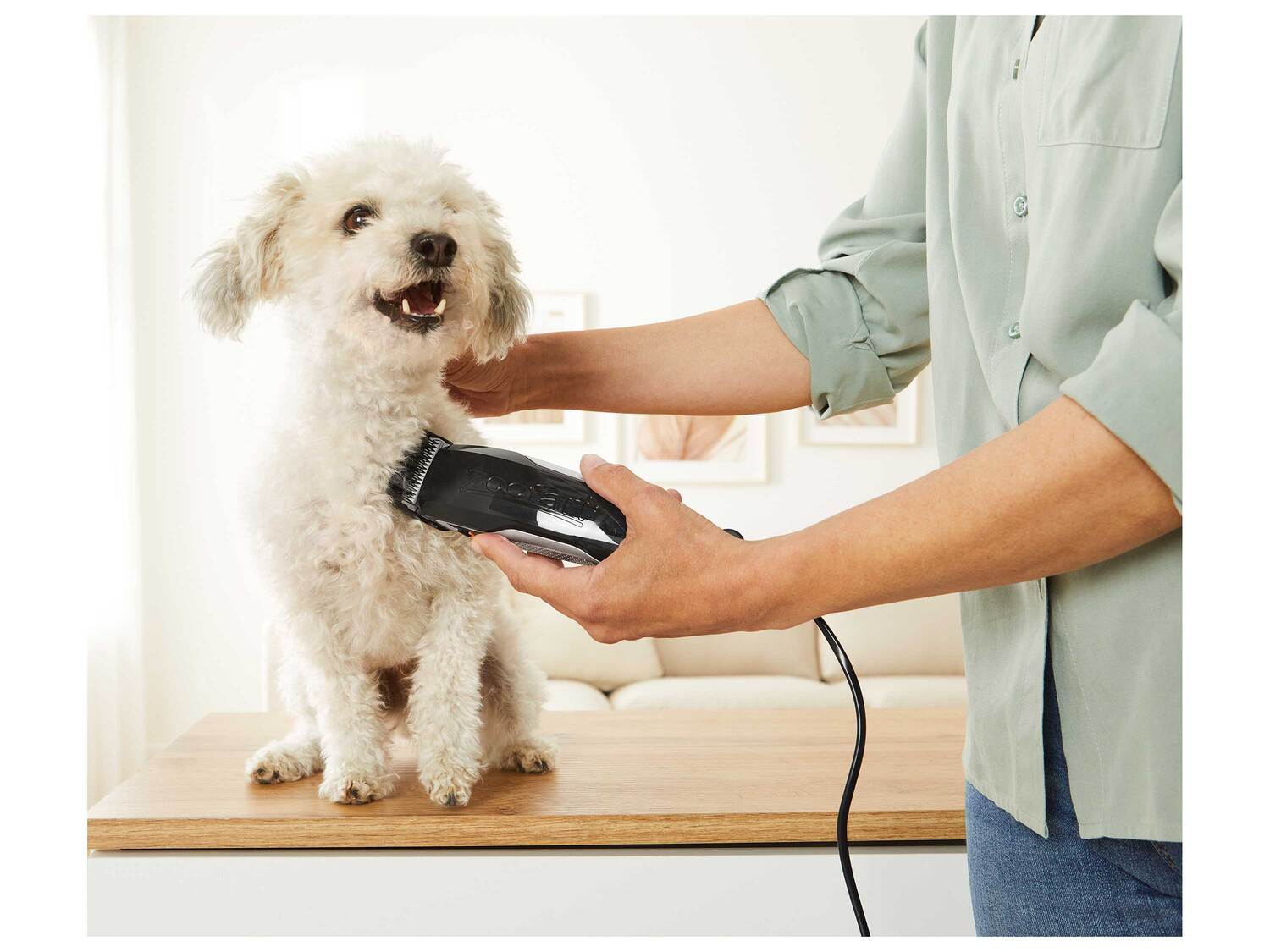 Tondeuse pour animaux , le prix 14.99 €
- 36 V
- 4 sabots pour les longueurs ...