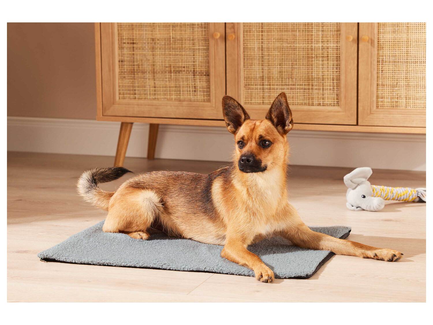 Housse de protection pour voiture ou tapis pour animaux , le prix 7.99 € ...