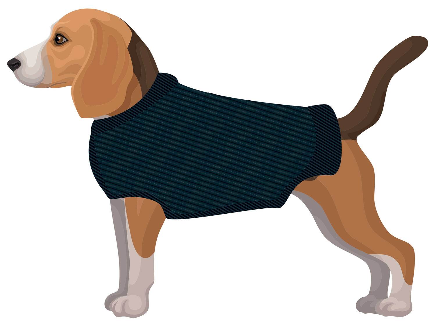 Pull réfléchissant pour chien , le prix 6.99 €
- 4 tailles disponibles ...