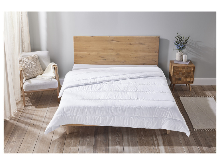 LIVARNO home Couette anti-acariens, Livarno home, prezzo 24.99 EUR