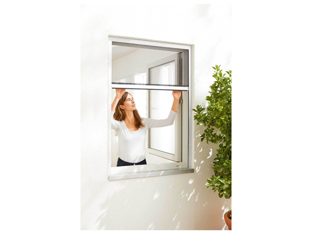Moustiquaire de fenêtre , prezzo 19.99 EUR
Moustiquaire de fenêtre Ce produit ...