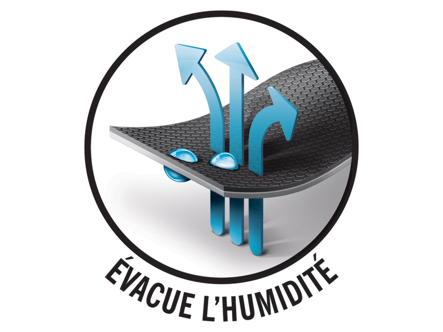 T-shirt technique , le prix 3.99 €
- Du M au XL selon modèle.
- ...