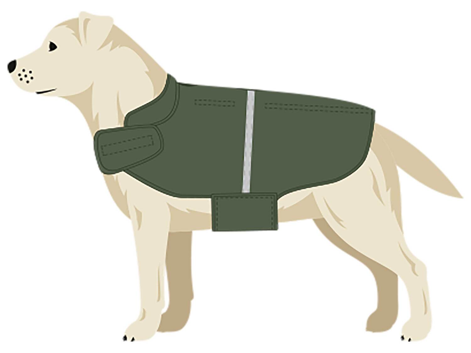 Imperméable pour chien , le prix 5.99 €
- Tailles : S, M ou L selon modèle
- ...