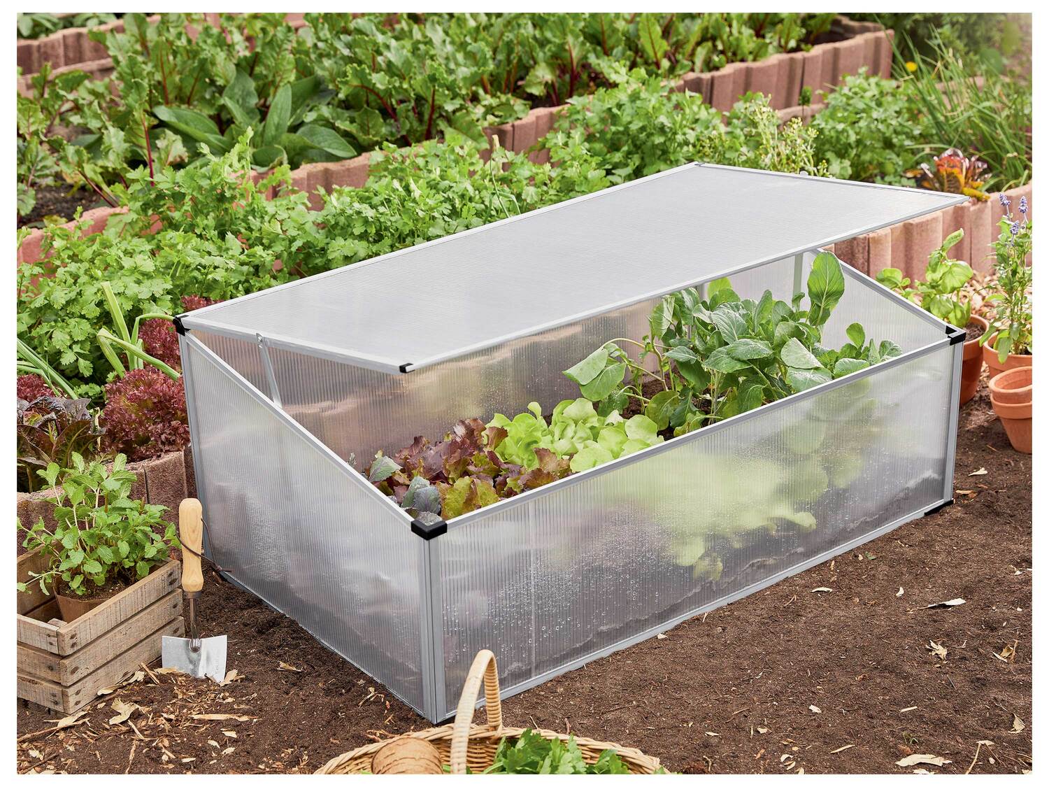 Mini-serre de jardin , le prix 29.99 €
- Env. 100 x 40 x 60 cm (l x h ...