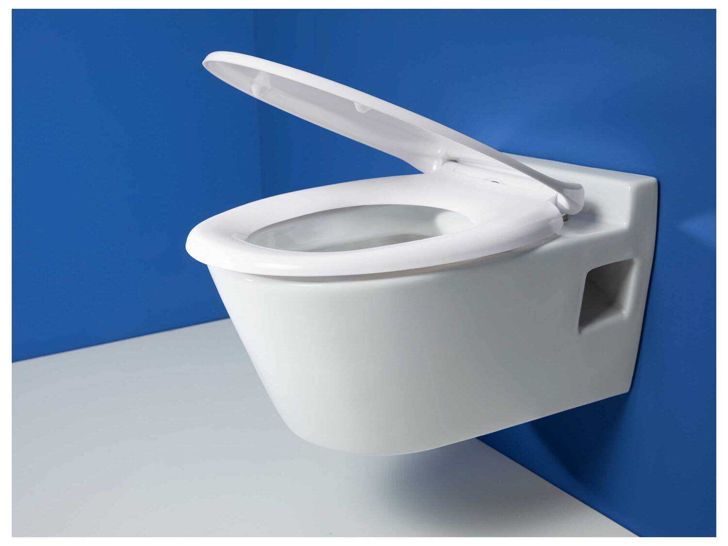 Abattant WC , le prix 13.99 €
- Au choix :
- En. 37,6 x 45 cm (l x p)
- ...