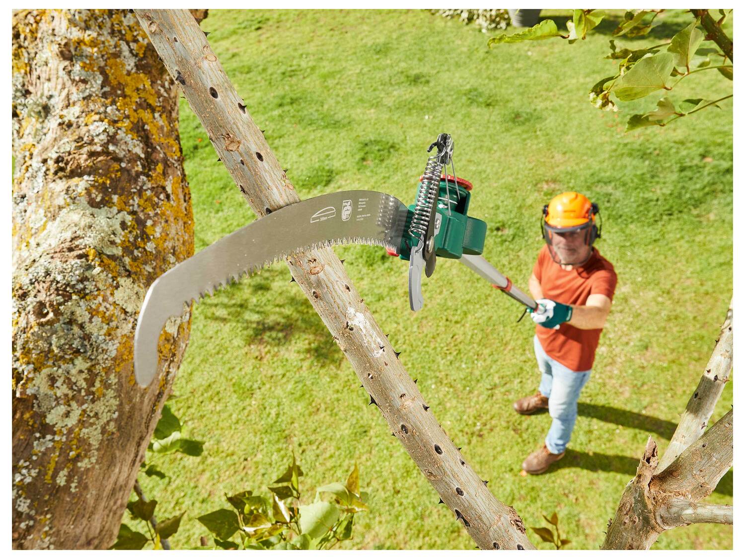 Coupe-branches télescopique avec scie , le prix 19.99 €
- 2 outils de ...