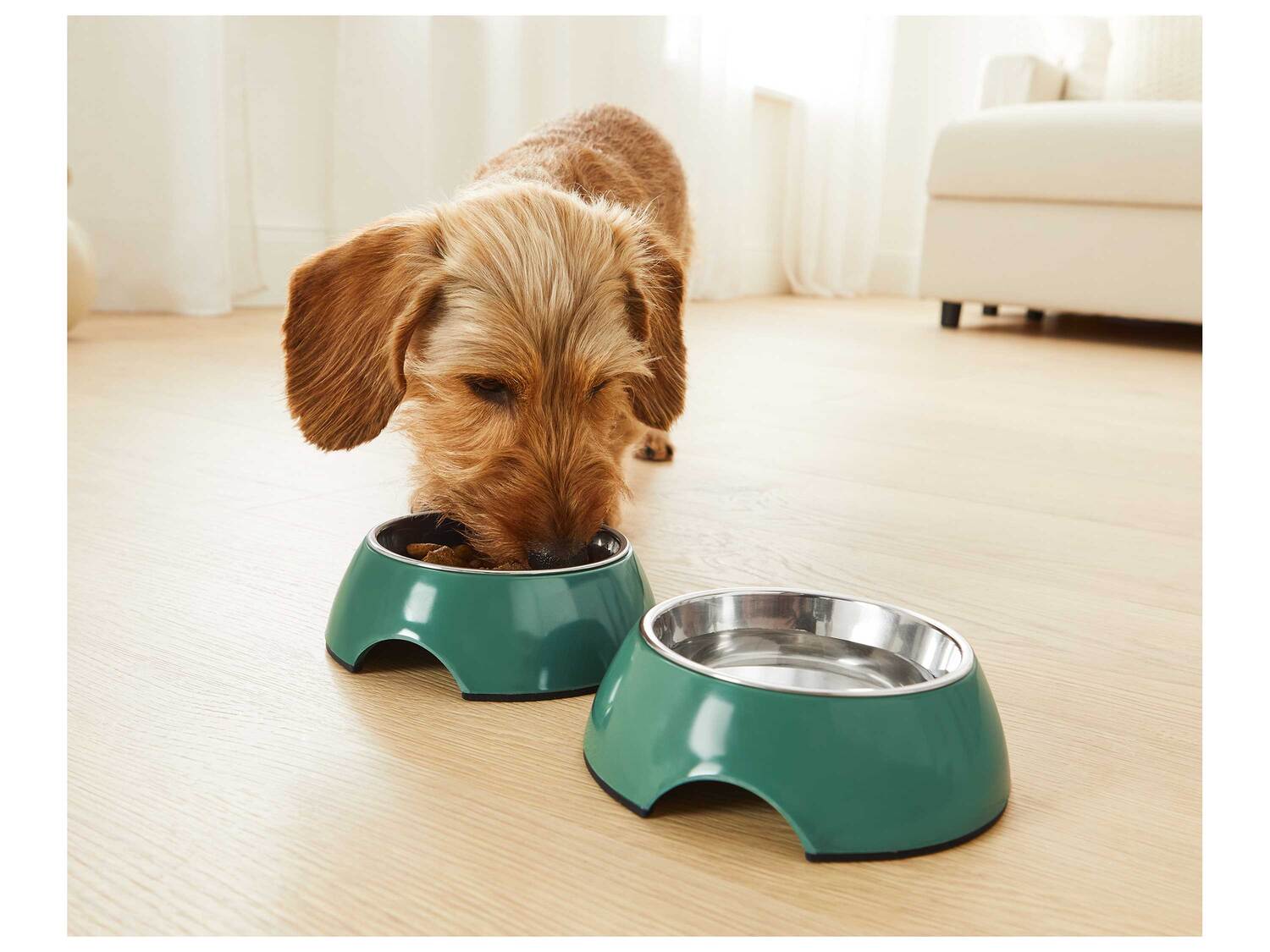 Gamelle ou tapis de gamelle , le prix 5.99 €
- Au choix :
- Tapis de ...