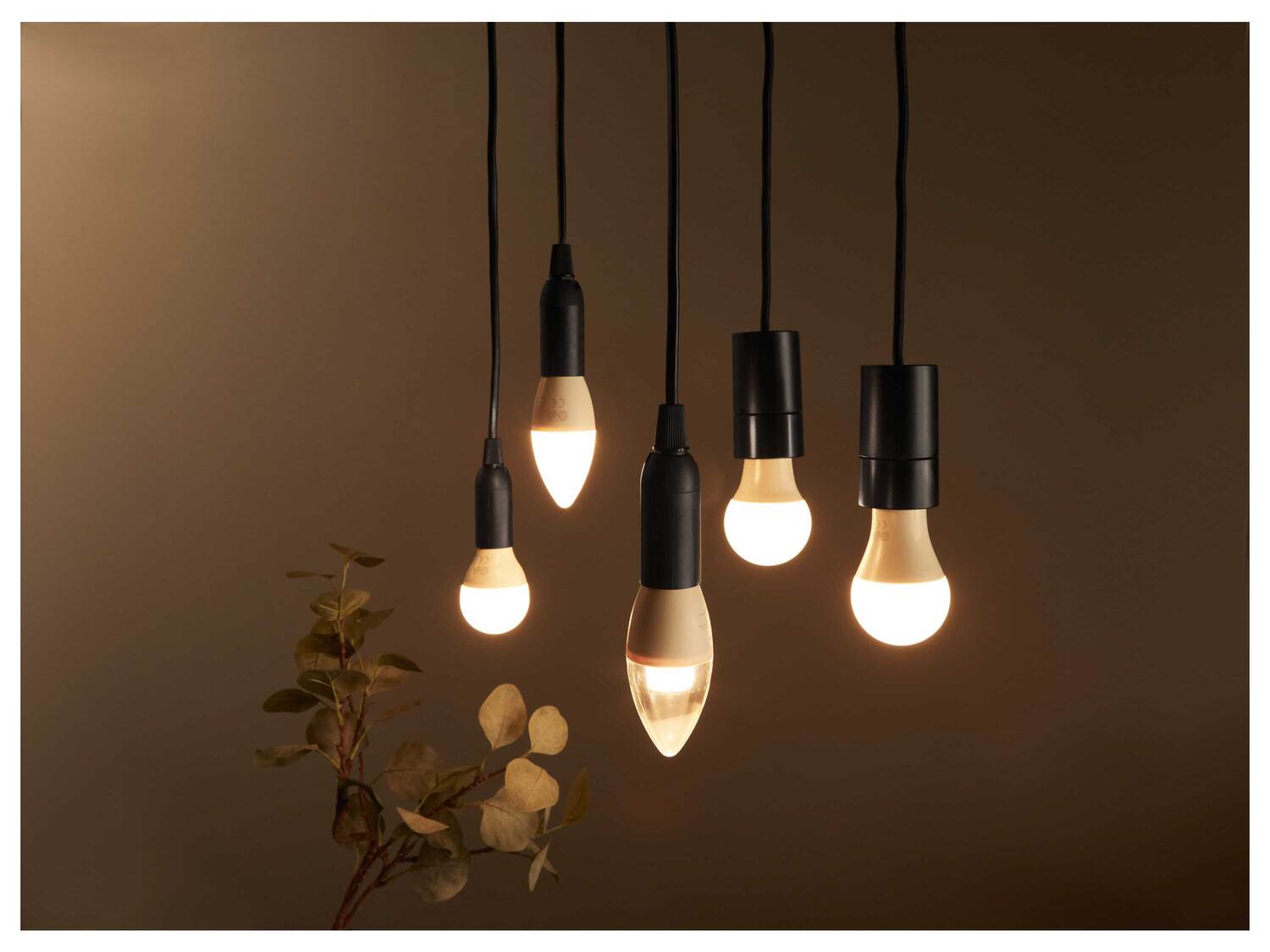 Ampoule LED ou ampoule LED à filament , le prix 1.99 €
- Au choix :
- ...