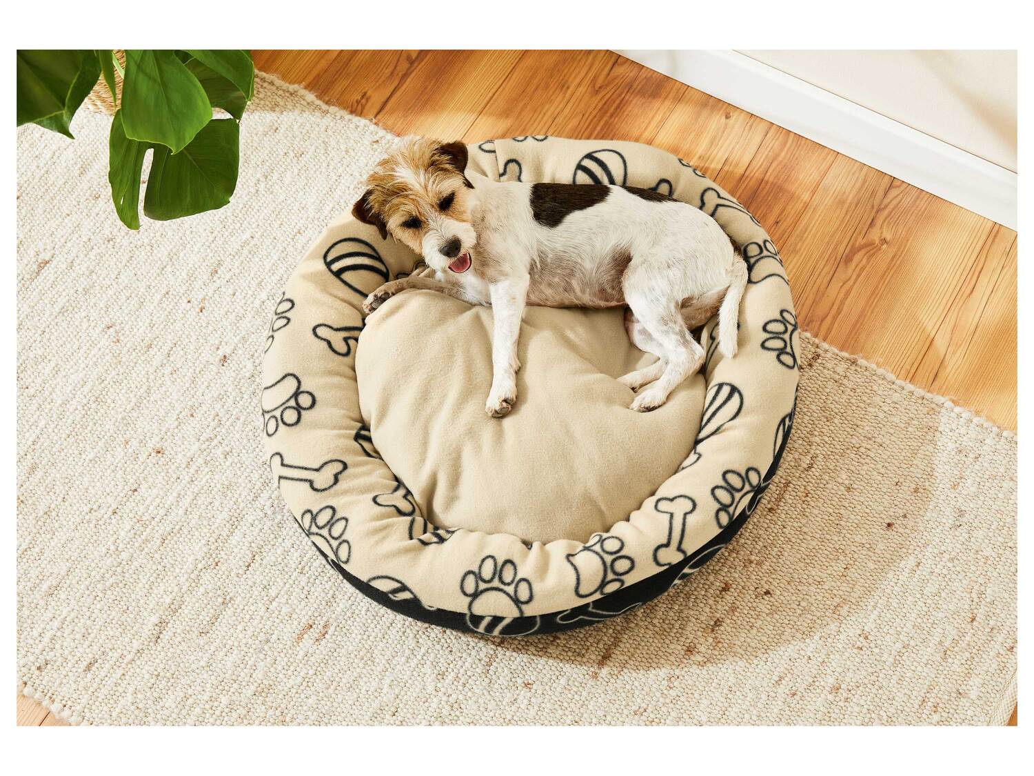 Panier pour chien , le prix 11.99 €
-
Au choix :
- Panier 2 en 1 : couverture, ...