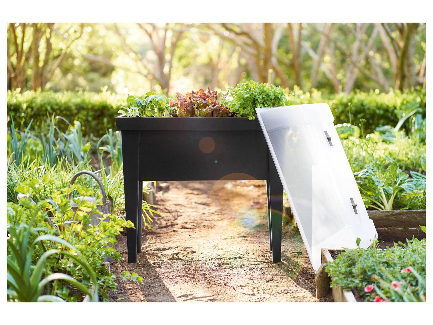 Table de culture avec couvercle , le prix 24.99 €
- Env. 79 x 39 x 88 ...