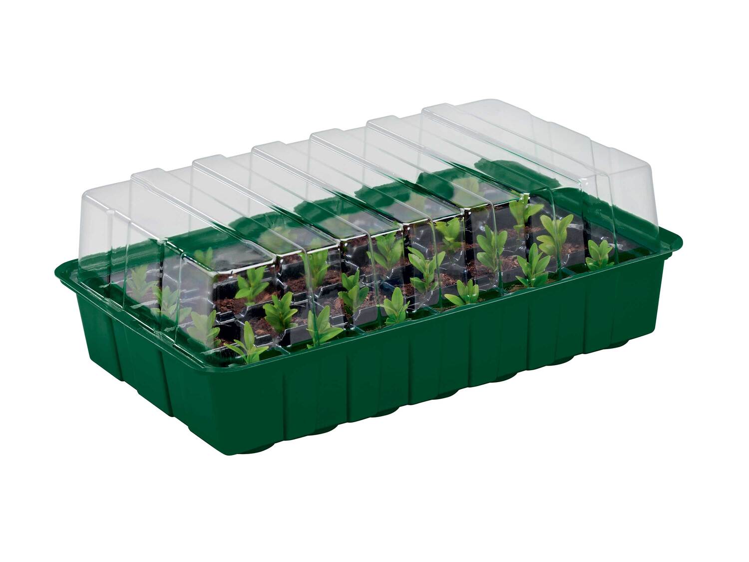 Mini-serres , le prix 4.99 €
- Env. 36 x 12 x 22 cm (l x h x p)
- Lot ...