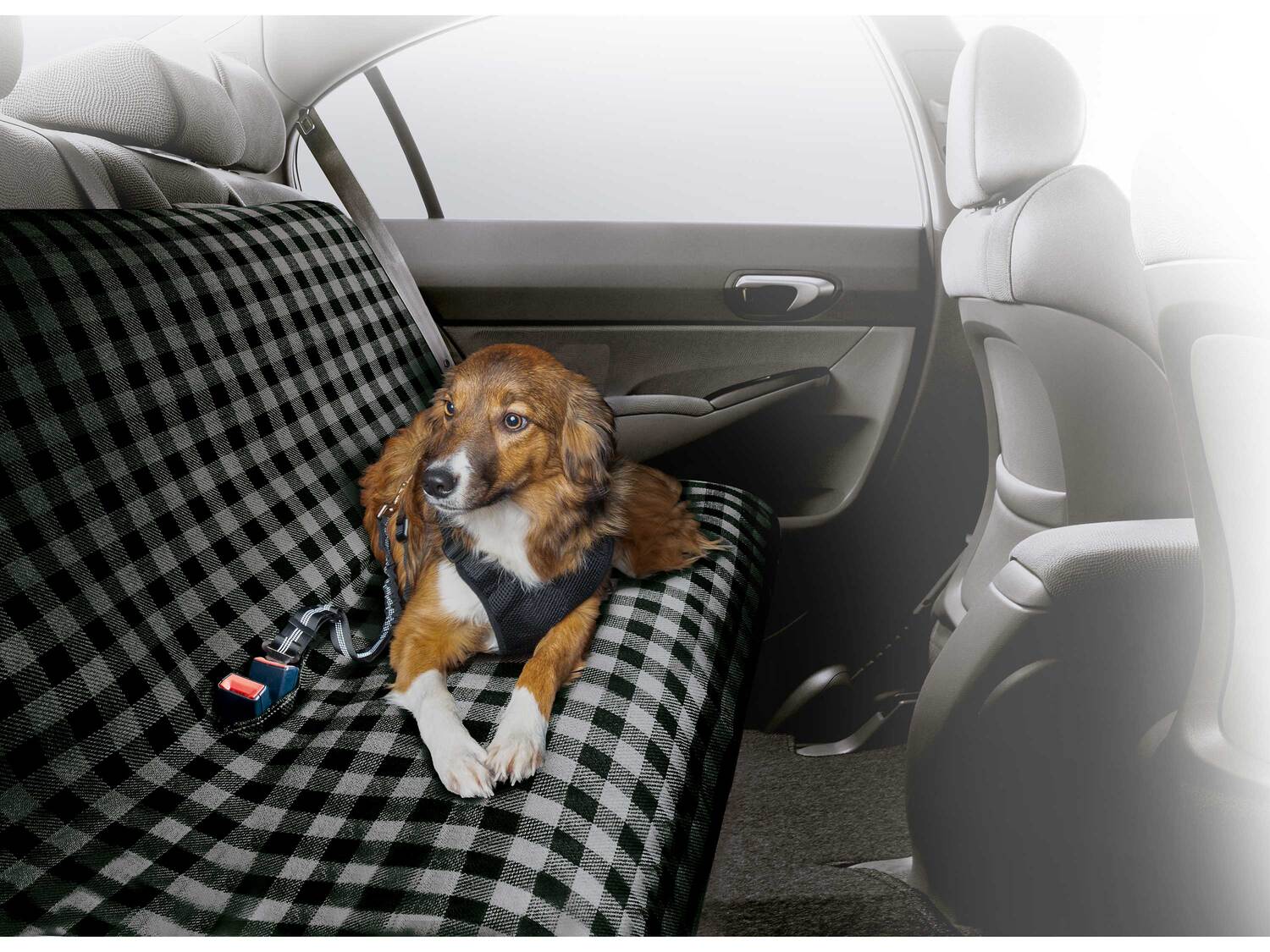 Housse de protection pour voiture ou tapis pour animaux , le prix 7.99 € ...