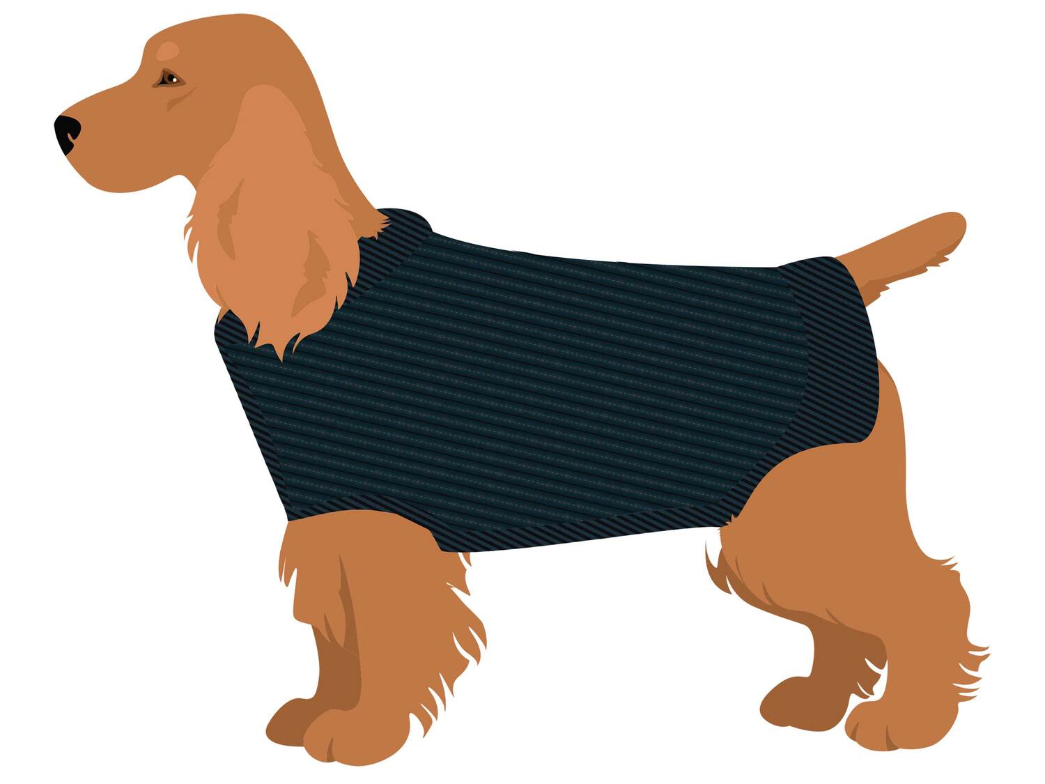 Pull réfléchissant pour chien , le prix 6.99 €
- 4 tailles disponibles ...