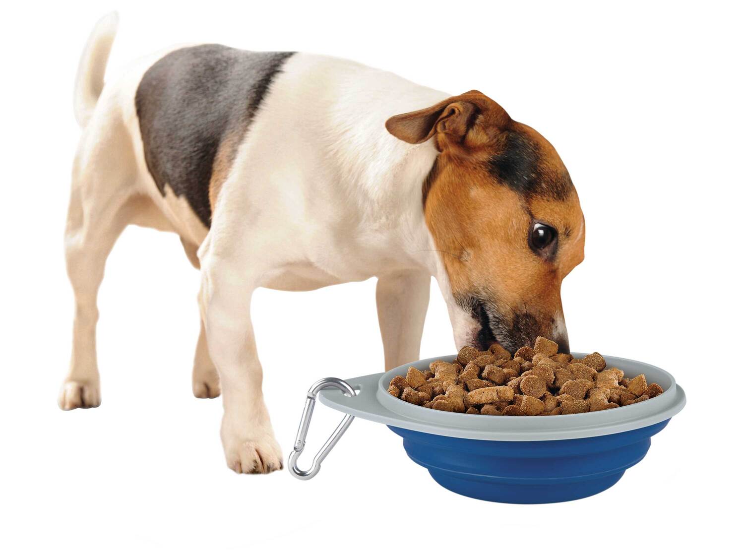 Jouet ou accessoire pour animaux , le prix 3.99 €
- Au choix :
- Balle ...