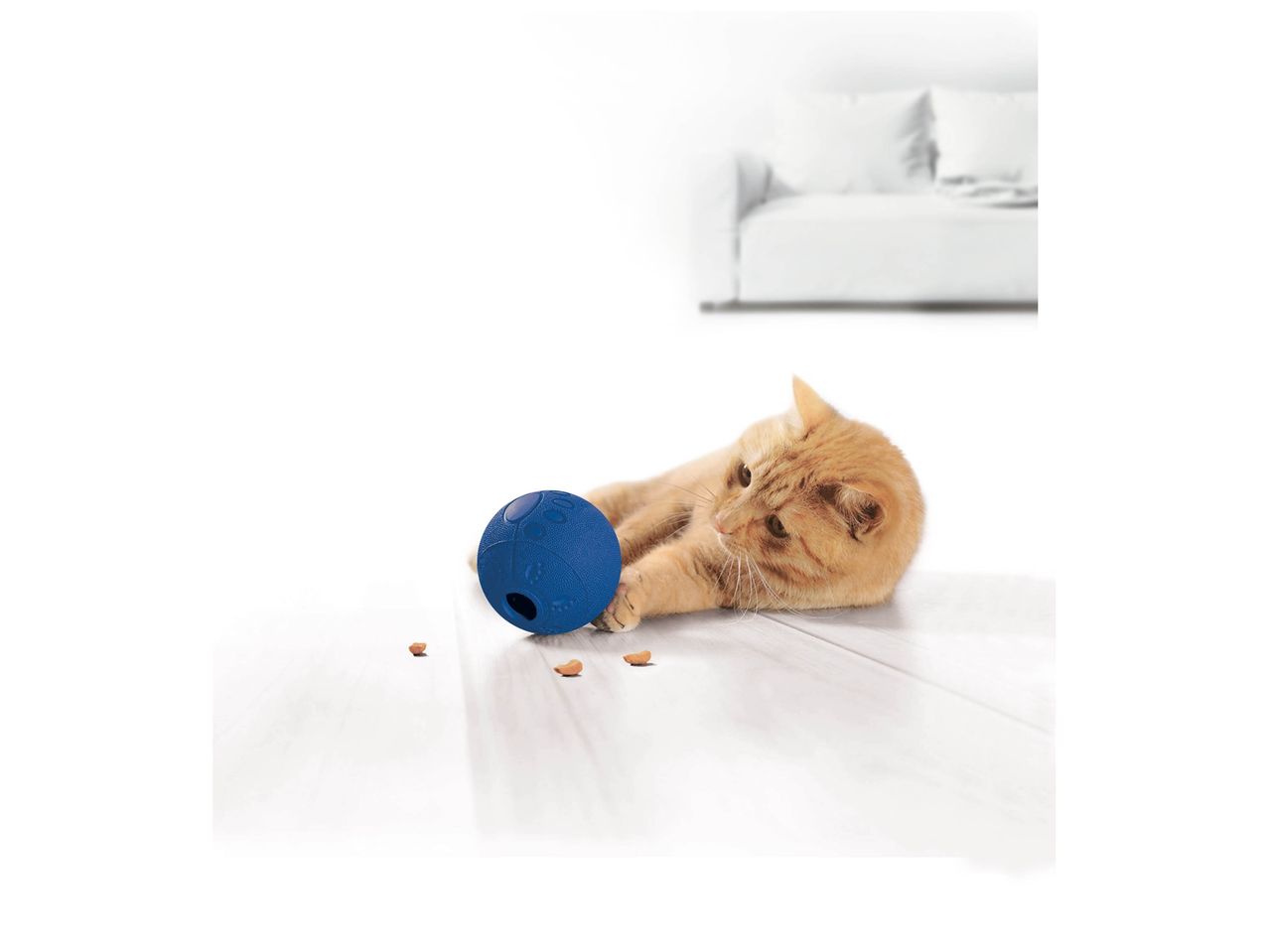 Jouet ou accessoire pour chien , prezzo 2.99 EUR
Jouet ou accessoire pour chien ...
