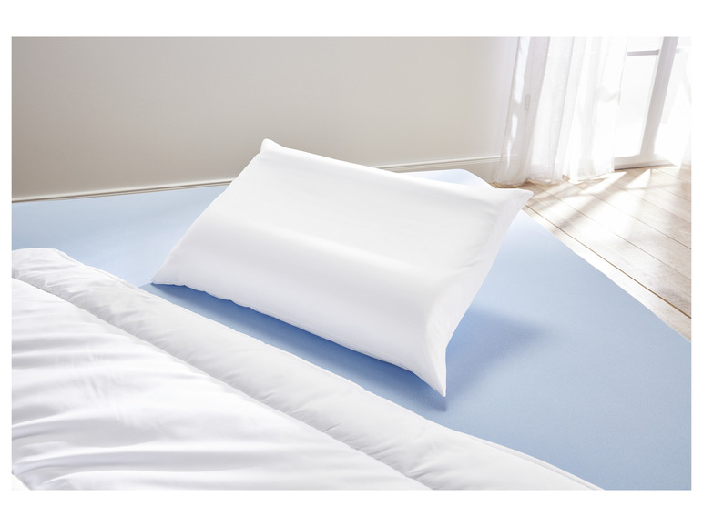 LIVARNO home Oreiller cervical anti-acariens, Livarno home, prezzo 9.99 EUR