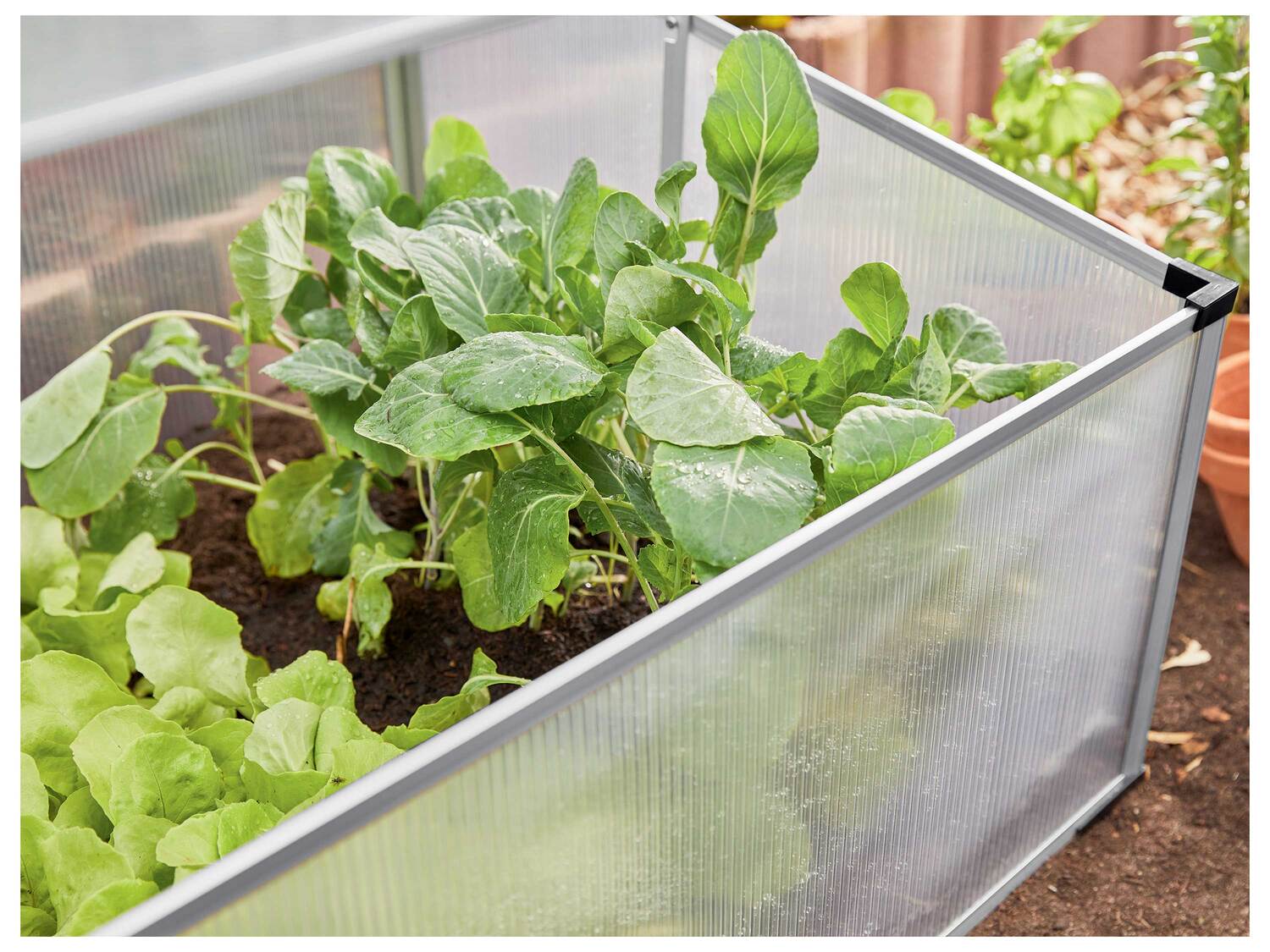 Mini-serre de jardin , le prix 29.99 €
- Env. 100 x 40 x 60 cm (l x h ...