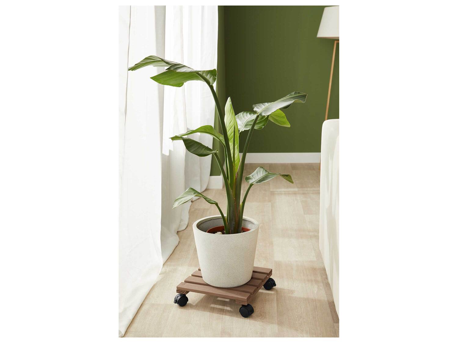 Support roulant pour plantes , le prix 6.99 €
- Au choix :
- Env. 30 ...