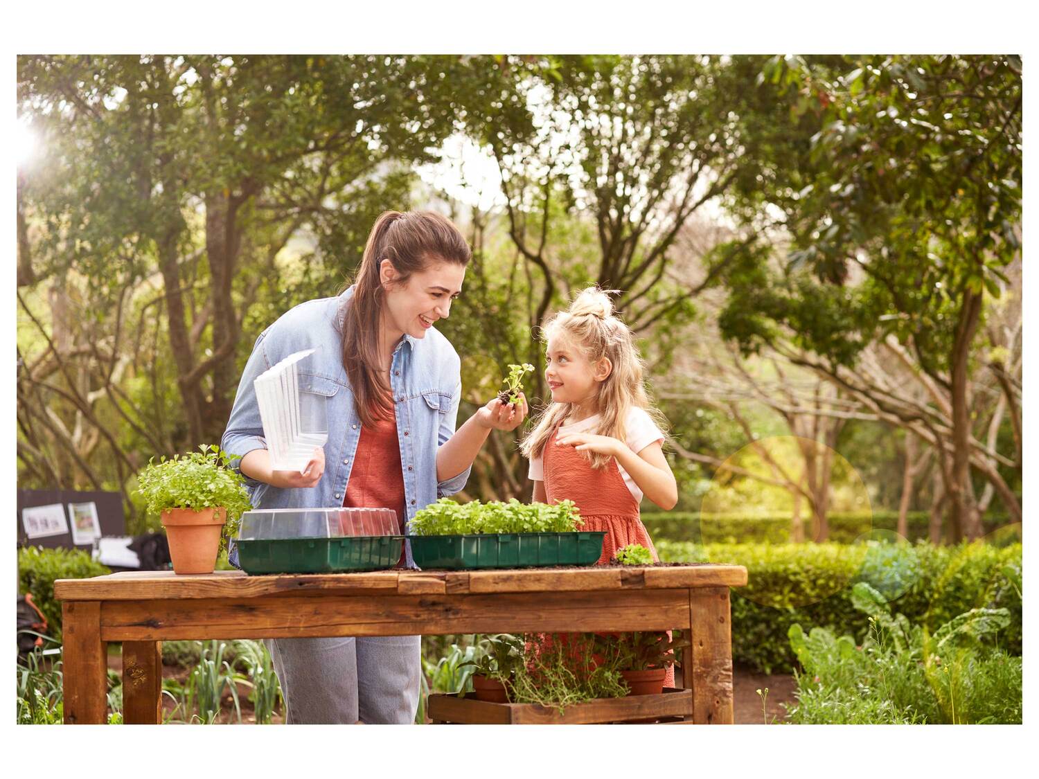 Mini-serres , le prix 4.99 €
- Env. 36 x 12 x 22 cm (l x h x p)
- Lot ...