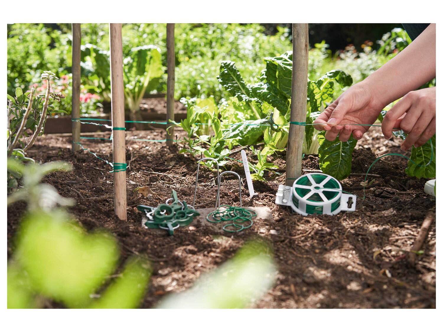 Accessoire pour plantes , le prix 1.99 €
- Au choix :
- Fil pour plantes ...