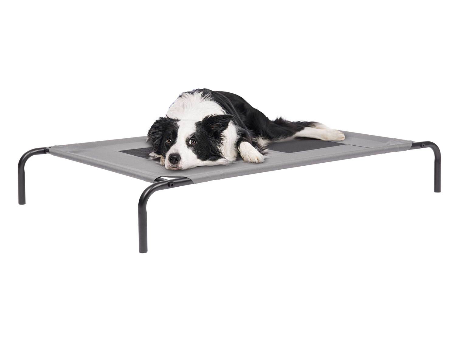 Couchage pour animal domestique , le prix 29.99 €
- Env. 130 x 19 x 80 ...