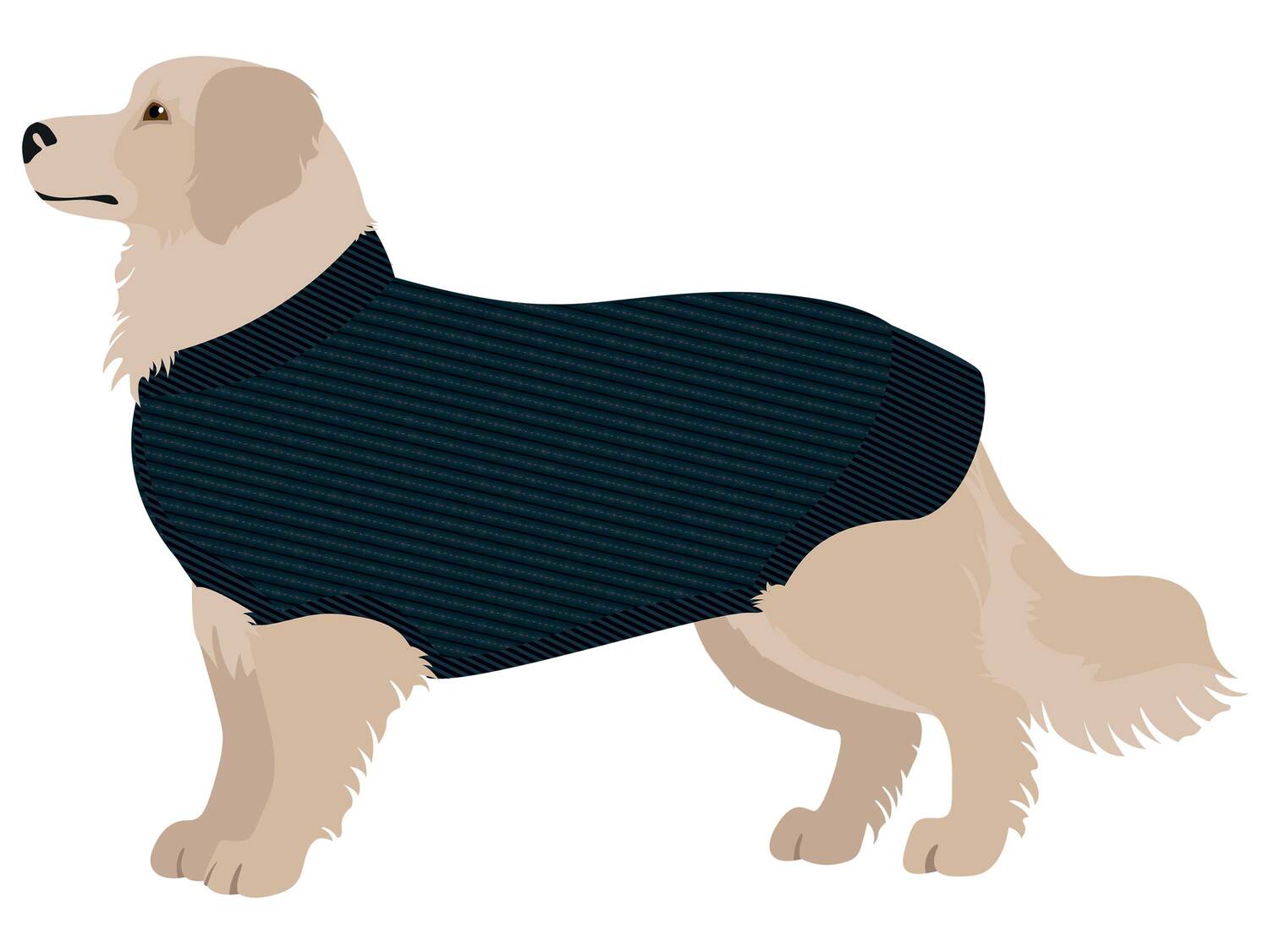 Pull réfléchissant pour chien , le prix 6.99 €
- 4 tailles disponibles ...