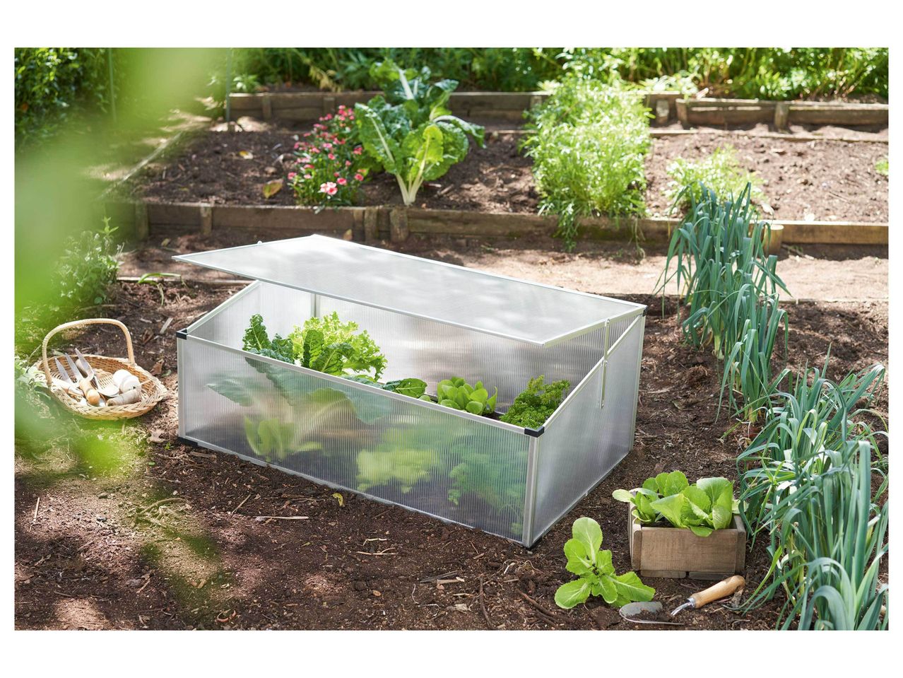 Mini-serre de jardin chez Lidl , prezzo 34.99 EUR
Mini-serre de jardin 12
- ...