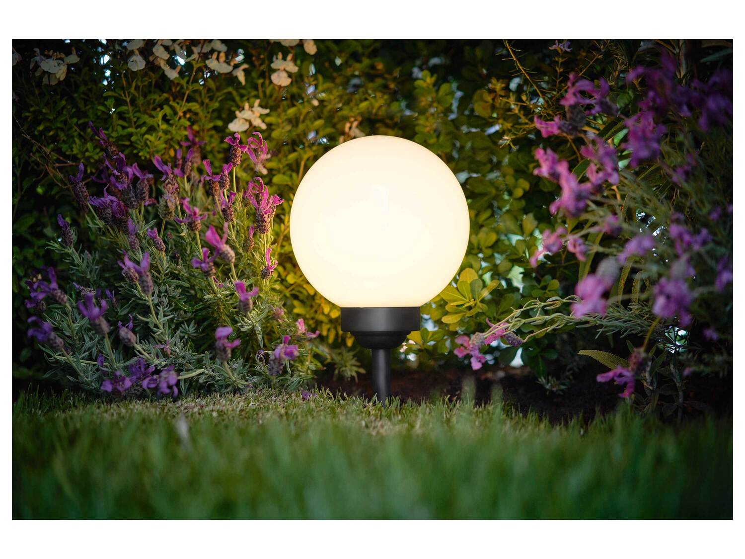 Lampe solaire à LED , le prix 8.99 €
- Ø env. 20 cm
- Changement ...