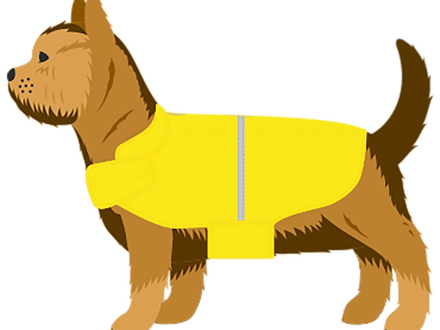 Imperméable pour chien , le prix 5.99 €
- Tailles : S, M ou L selon modèle
- ...