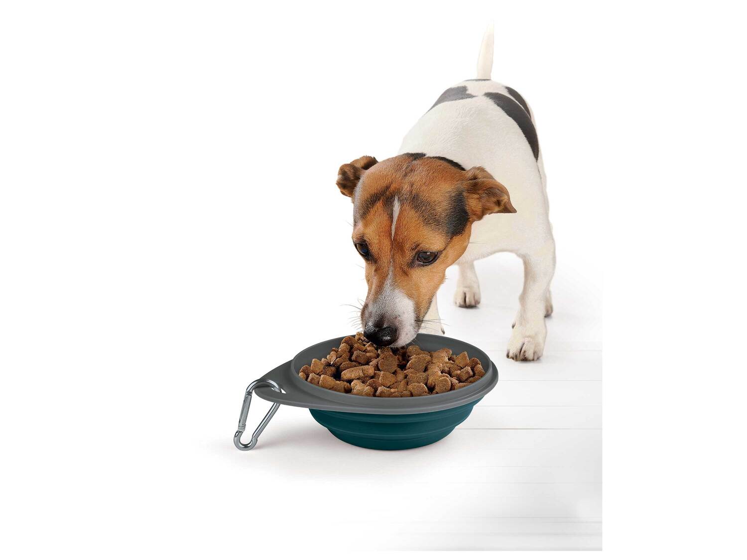 Jouet ou accessoire pour animaux , le prix 2.99 €
- Au choix :
- Balle à friandises
- ...