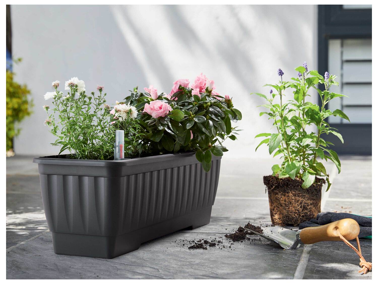 Jardinière avec niveau deau , le prix 4.99 €
Au choix :
- Env. 60 x ...