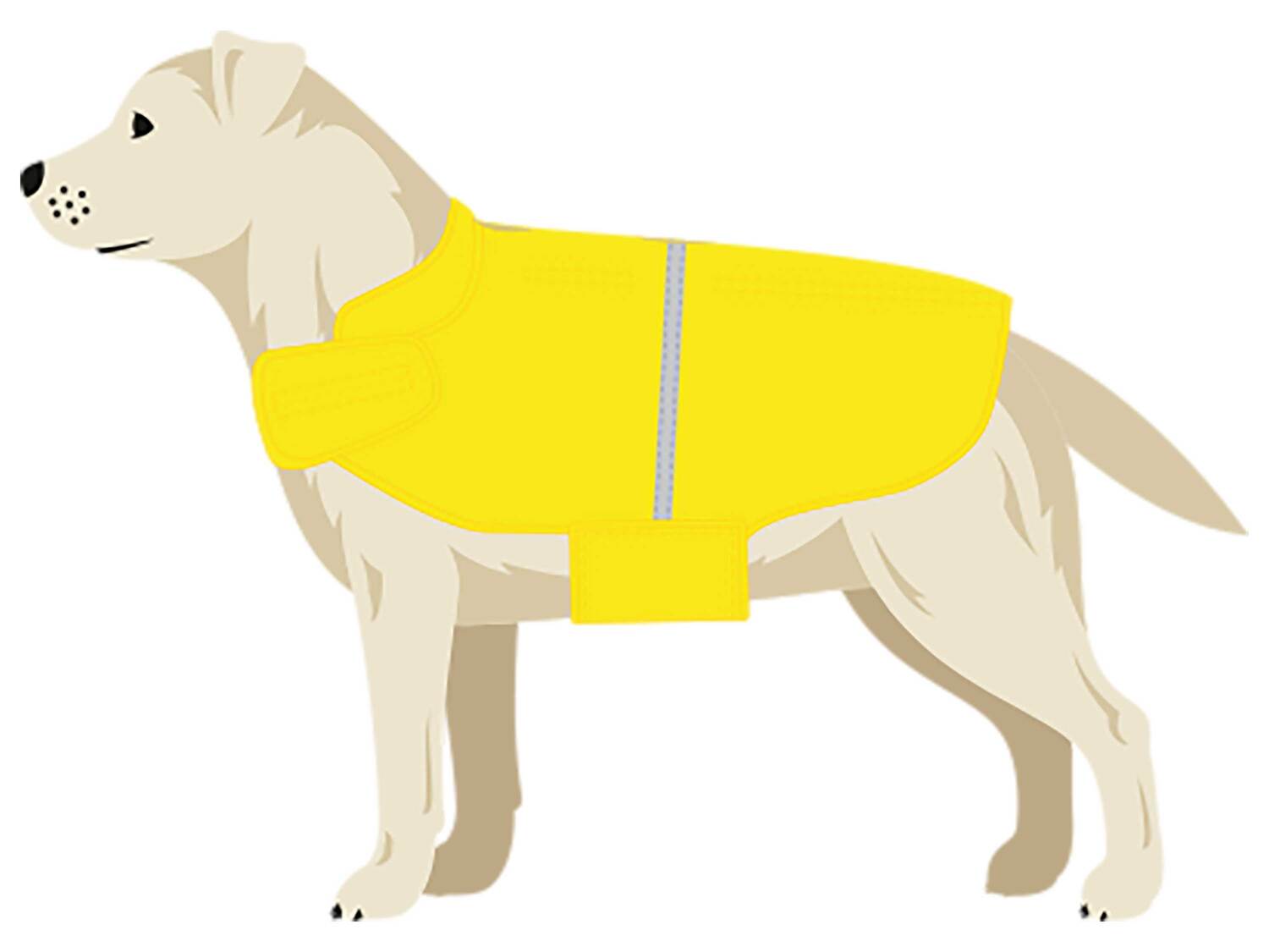 Imperméable pour chien , le prix 5.99 €
- Tailles : S, M ou L selon modèle
- ...