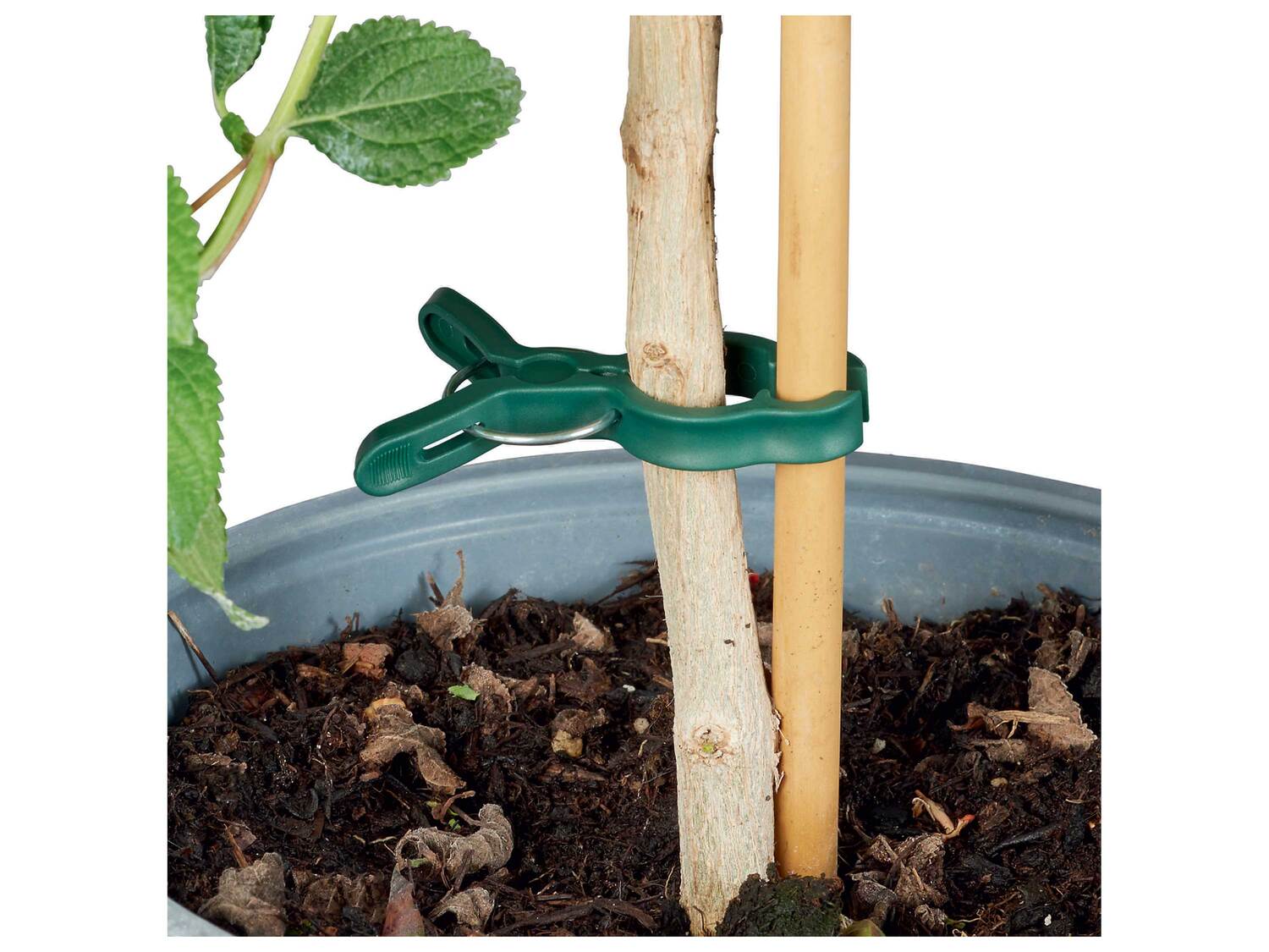 Accessoire pour plantes , le prix 1.99 €
- Au choix :
- Fil pour plantes ...